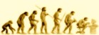 La Evolucin Humana.