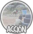 Fotografias de la acción en nuestro campo de paintball