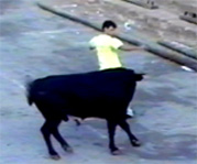 Retall al bou