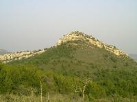 Monte de la Balaguera
