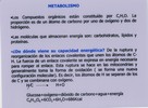 5 (1494x1098, 537,0 kilobytes)
