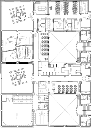 Planta -1